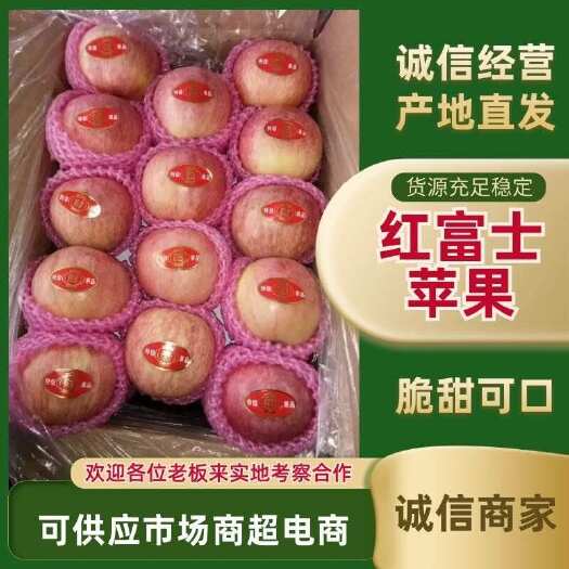 日照红富士苹果大量上市