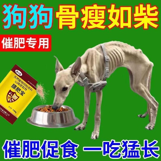 土狗增肥傻吃猛涨快速育肥粉调理肠胃长胖长肉强壮体格狗狗营养品