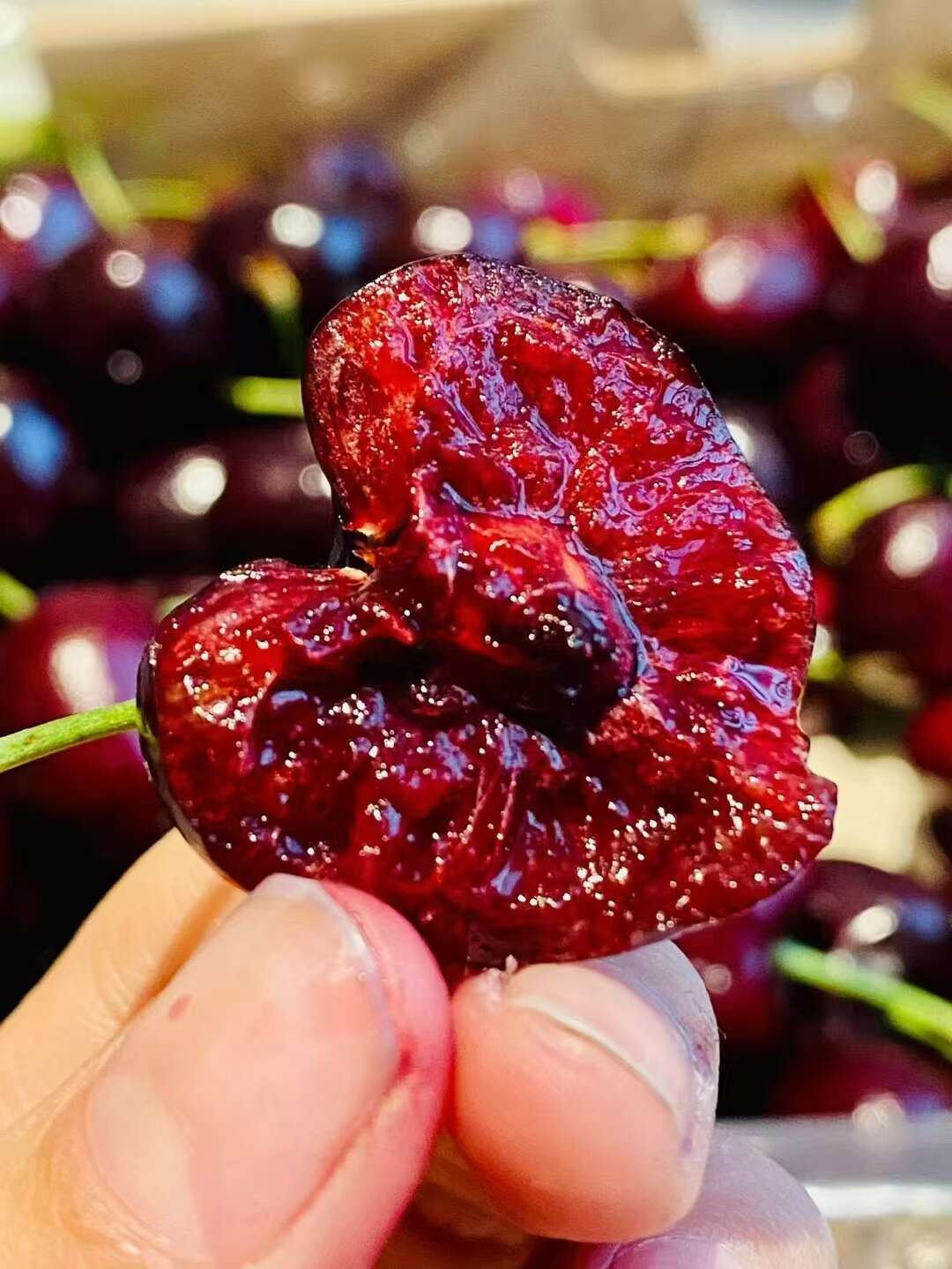 智利车厘子一手货源一件代发   这几天价格有点高 理性消费