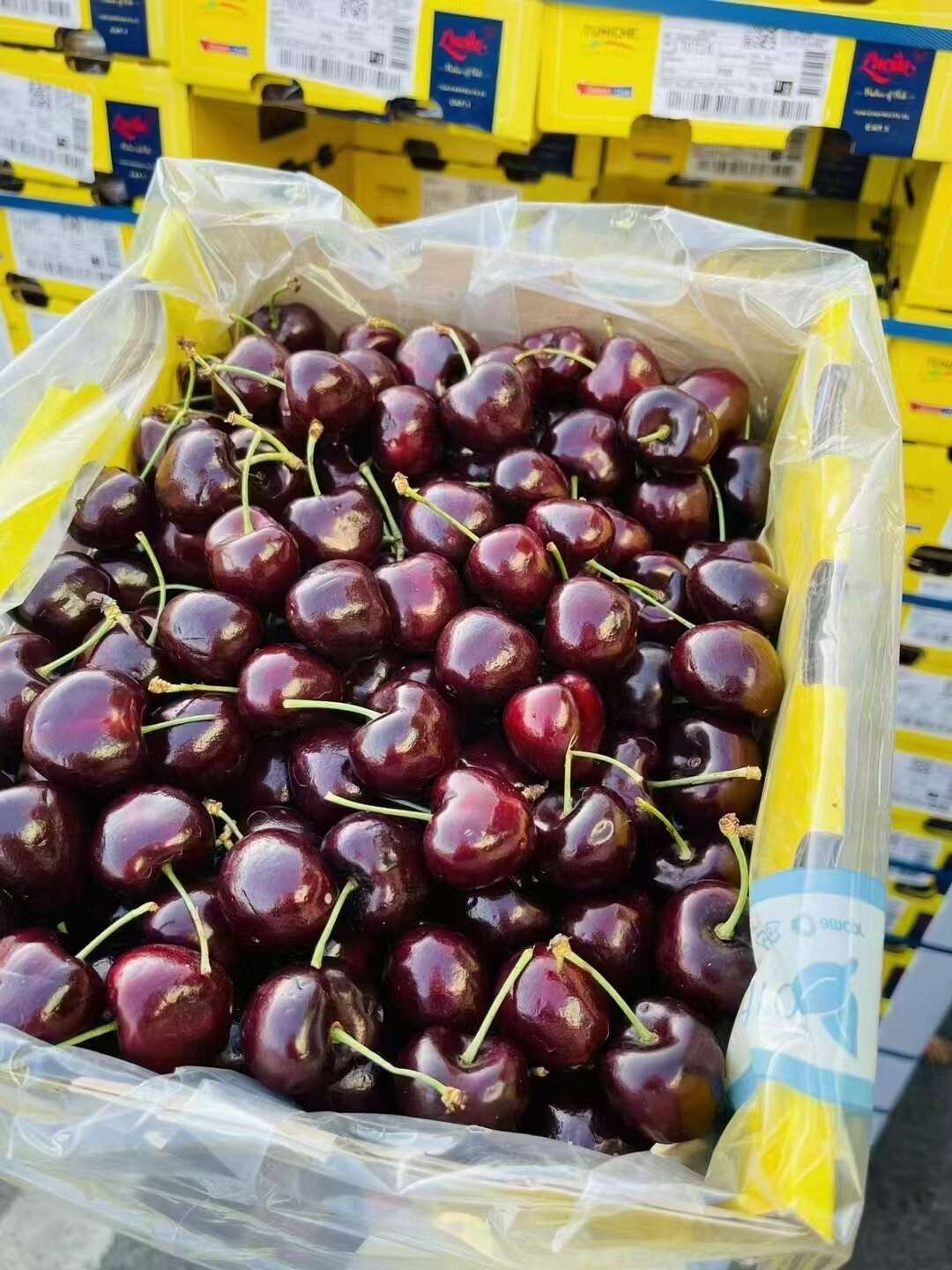 智利车厘子一手货源一件代发   这几天价格有点高 理性消费