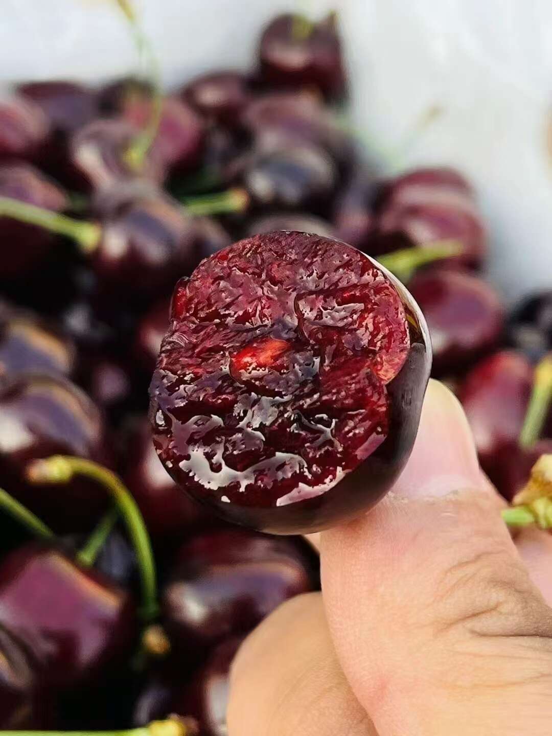 智利车厘子一手货源一件代发   这几天价格有点高 理性消费