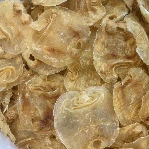 广州鱼胶花胶  顺风赤嘴一手货源全国发货