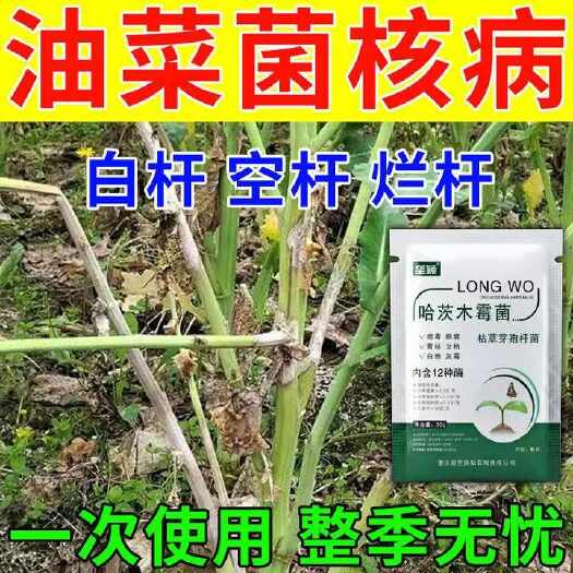 栾川县油菜病专用药油菜病全治栏杆病烂根黄叶菌核软腐霜霉病专用杀菌剂