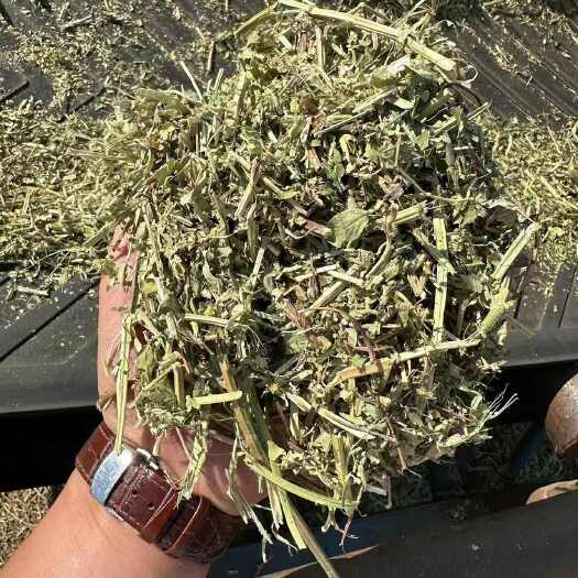 泌阳县花生秧草料牛羊马牧草饲料