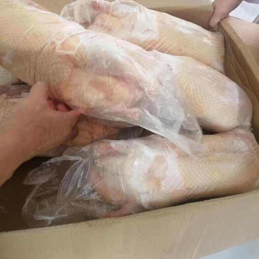 临沂二级大白条鸭