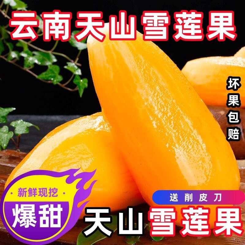 【云南天山雪莲果新鲜红黄心长果超甜大果整箱