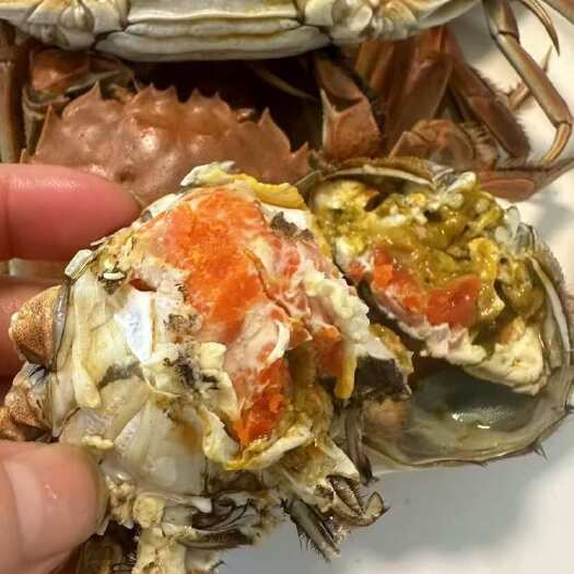 盘山县各种规格大闸蟹