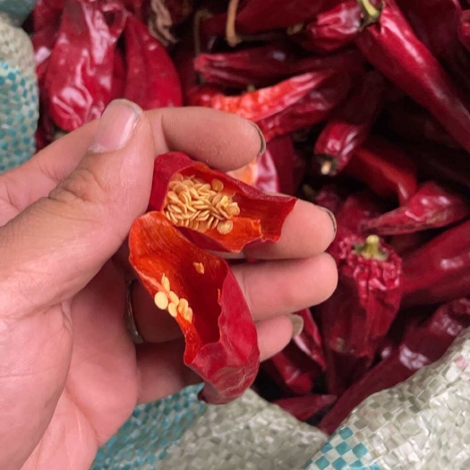 应县北京红辣椒板椒红油专用辣椒可接电商支持一件代发