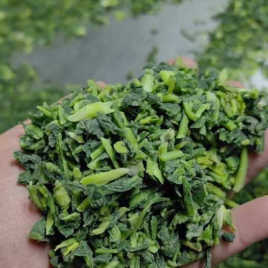虞城县商丘虞城万亩荠荠菜，打冷荠菜块，荠菜碎等