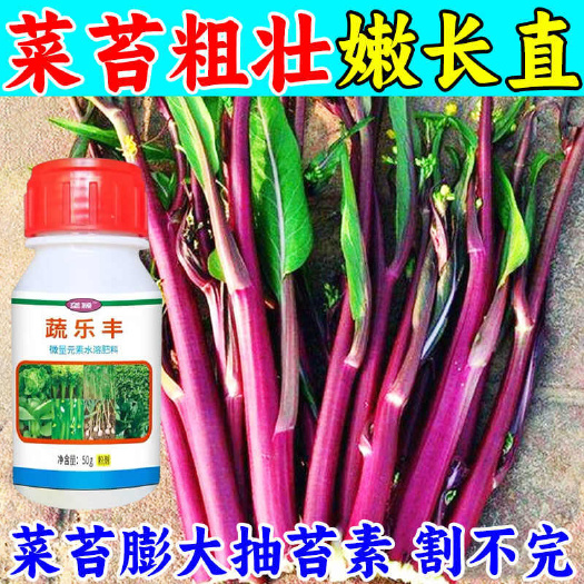 栾川县红菜苔抽苔药增粗丰产菜苔嫩直长红菜苔催苔猛长菜苔增产叶面肥