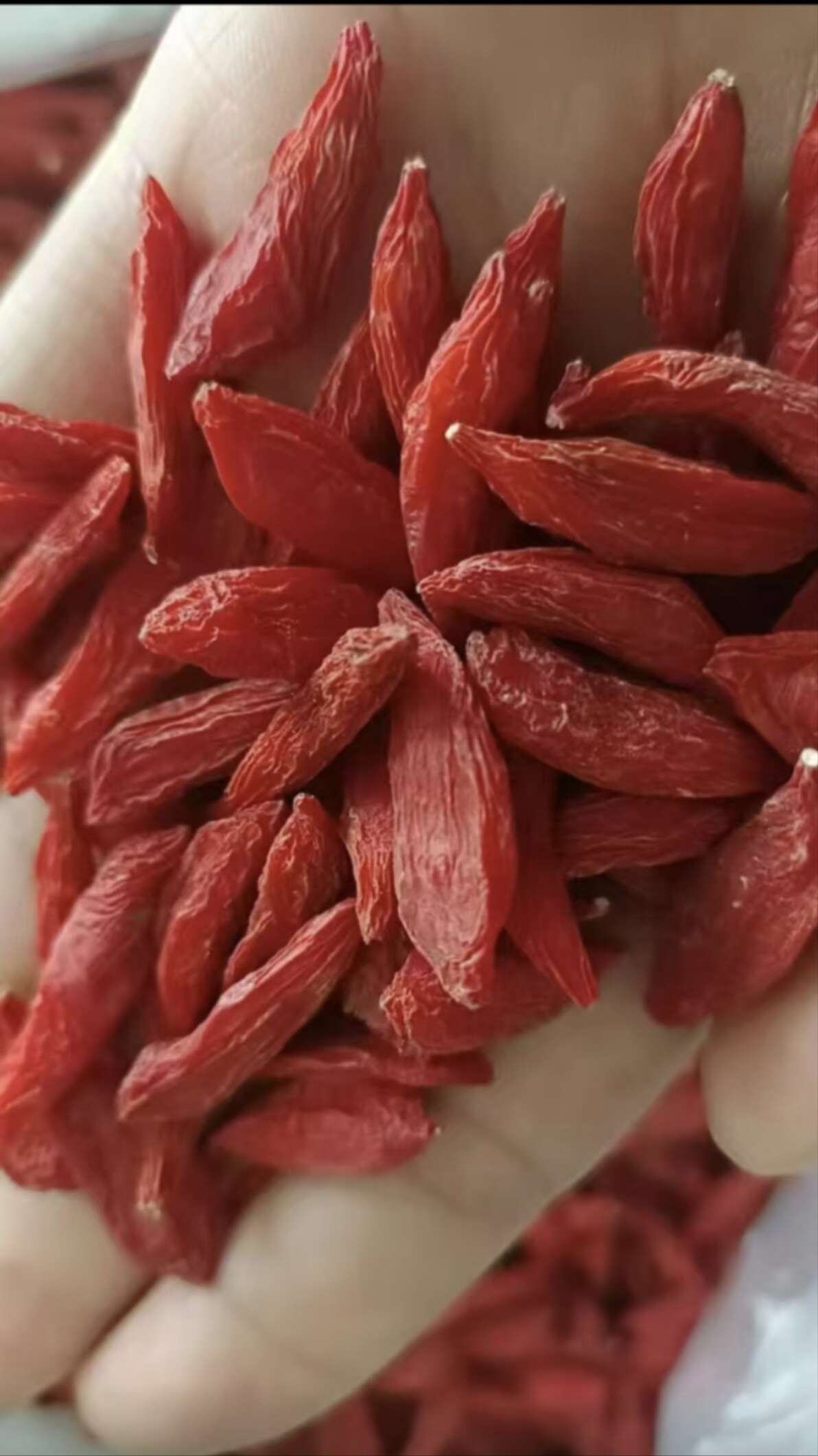 大粒枸杞（小尖椒）