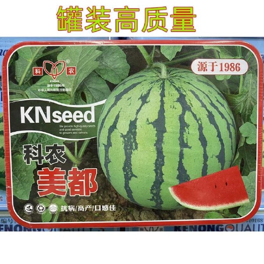 安仁县美都西瓜种子科农罐装大果杂交西瓜种子盆栽大田西瓜籽高产型水种