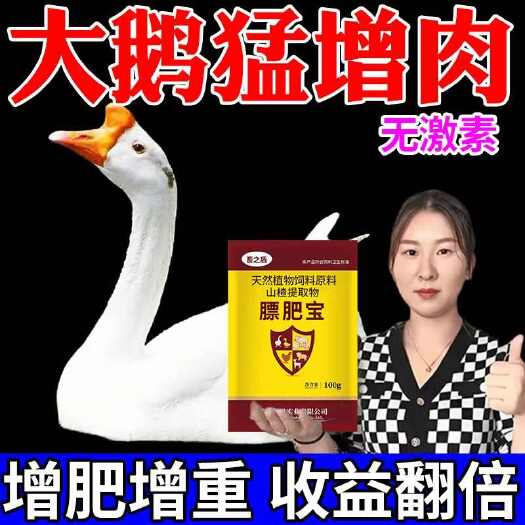 【鹅长得快】鹅猛长拉大骨架快速出栏鹅鹅长得快鹅催肥增重开胃