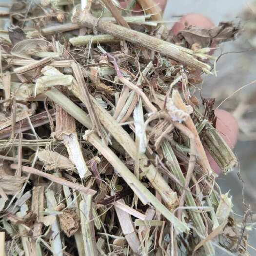 威县花生秧秸秆饲料现货  黄白绿草 无土无膜无霉保质