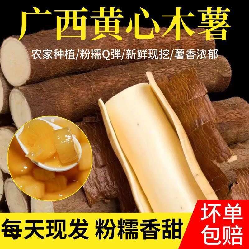 广西黄肉木薯种苗，华南9号，高产