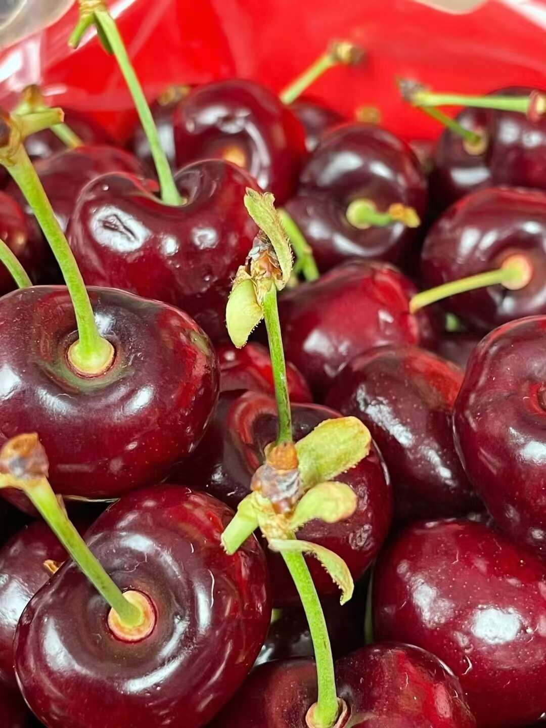 智利车厘子一手货源一件代发   这几天价格有点高 理性消费