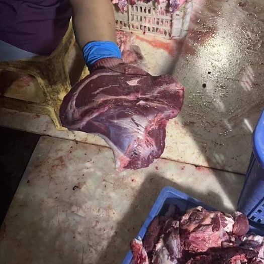 揭阳牛脸肉，大脸肉，屠场新鲜现切，独立小包装，可以相当于腱趾用