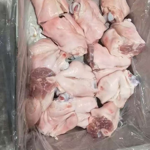 30-40脚圈 蹄圈