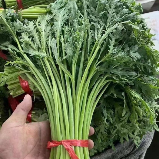 茼蒿，蒿子杆