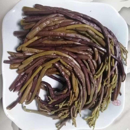 贵州毕节威宁新鲜蕨菜 快速发货 绿色天然1500g装现采野菜