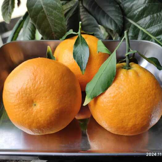 四川眉山阿蜜达