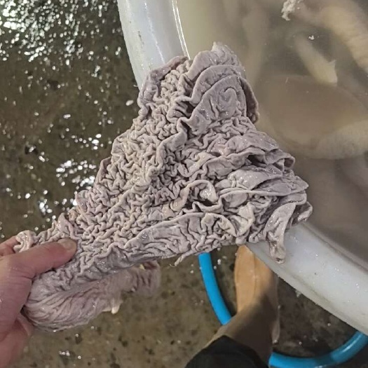 牛肠 散带 散肚 牛副产品精选 品质保证 快速发货
