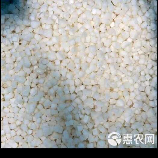 桂林桂林白马蹄，清甜爽口无渣，源头产品直供
