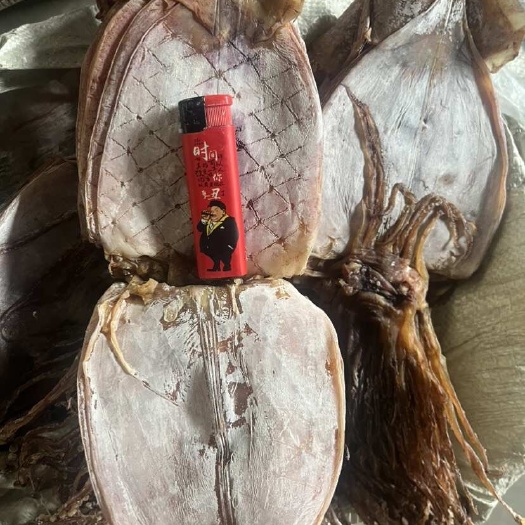 荣成市鱿鱼干水发鱿鱼