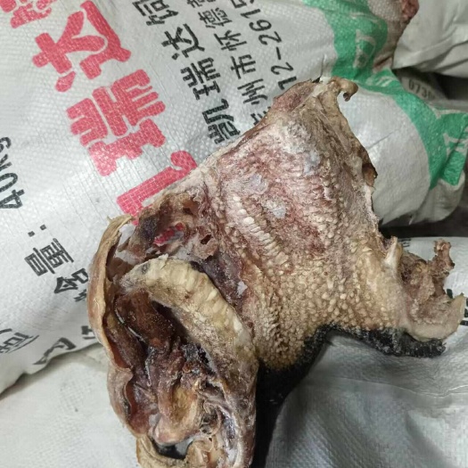 石家庄牛嘴巴
