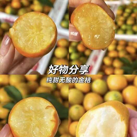 成都从来没有吃过那么好吃的脆蜜金桔！！个头大、甜、无酸、脆嫩的