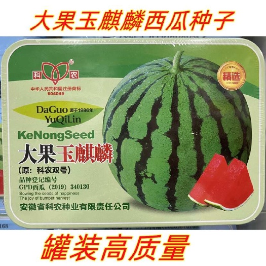 长沙大果玉麒麟西瓜种子杂交西瓜种子罐装大田种植西瓜种子籽圆果花皮