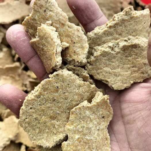 本厂常年出售碎大豆黄豆饼饲料多禽畜适用 品质保障需要的联系