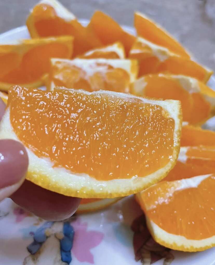 秭归九月红 果冻橙 鲜橙 产地实发