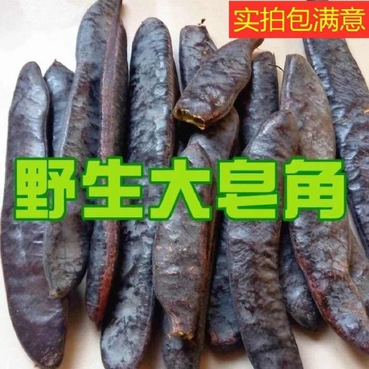 大皂角山东省临沂市平邑县高品质皂荚药材批发