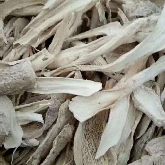鸡腿菇干货 产地直销批发 新鲜烘干食用菌土特产蘑菇精选菌菇