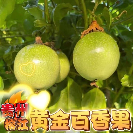 榕江县贵州黄金百香果