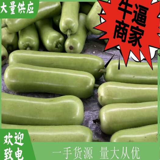 徐闻县精品 蒲瓜 瓠瓜 整车按需代发
