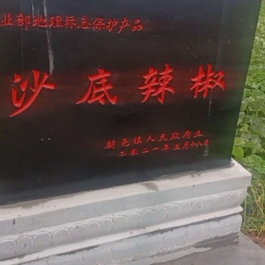大荔县以香辣而闻名！2021年被囯家农业部授于地理性保护产品