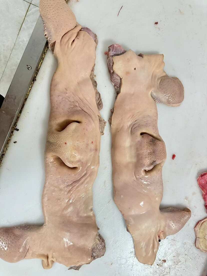 南宁牛副产品