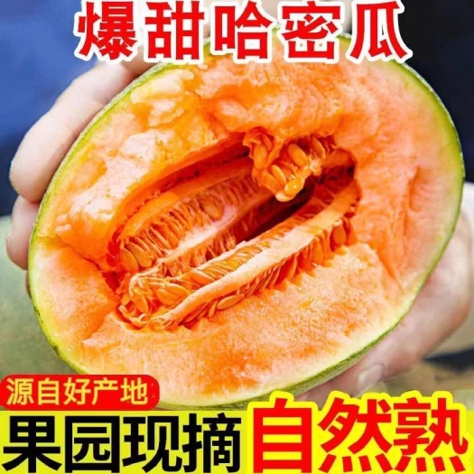 乐东县哈密瓜甜西州蜜新鲜水果应季时令现摘网纹精品整箱甜皮薄肉厚