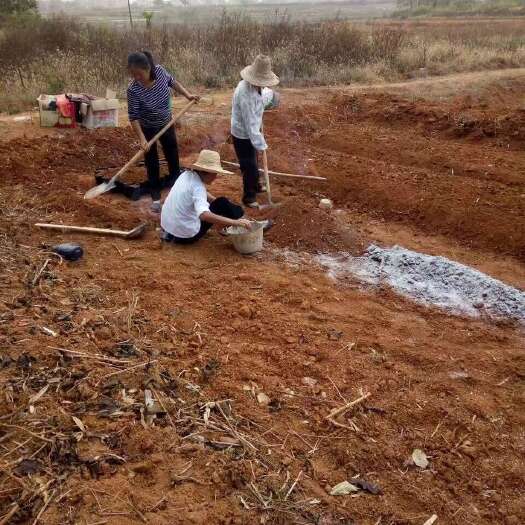 都昌县九江都昌县400亩耕地出租，价格实惠。
