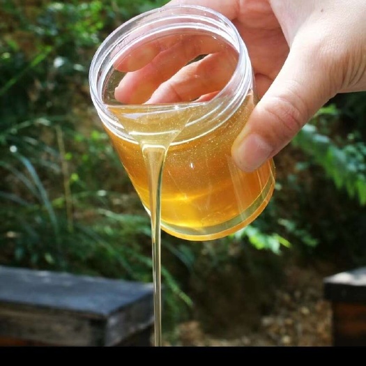 威宁县蜂蜜【2斤装】纯正天然百花蜜天然蜂蜜枣花蜜洋槐蜜自产农家蜜真