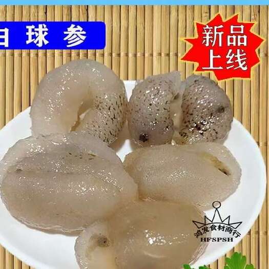 南安市白球参
