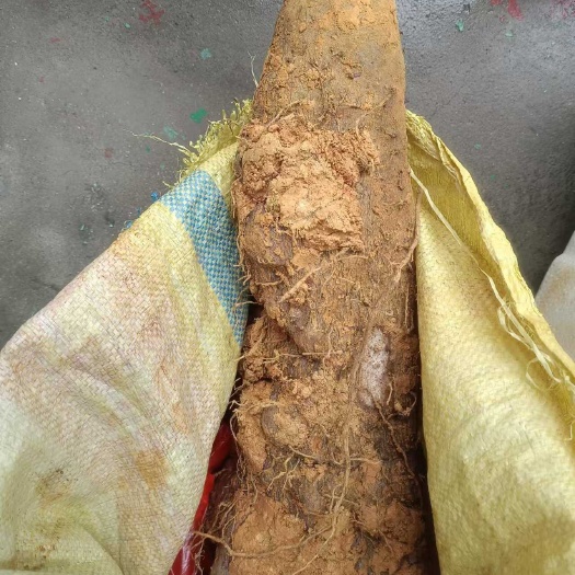 紫薯白色，紫色都有，自家种植，大约7.8百斤，有需要的联系我