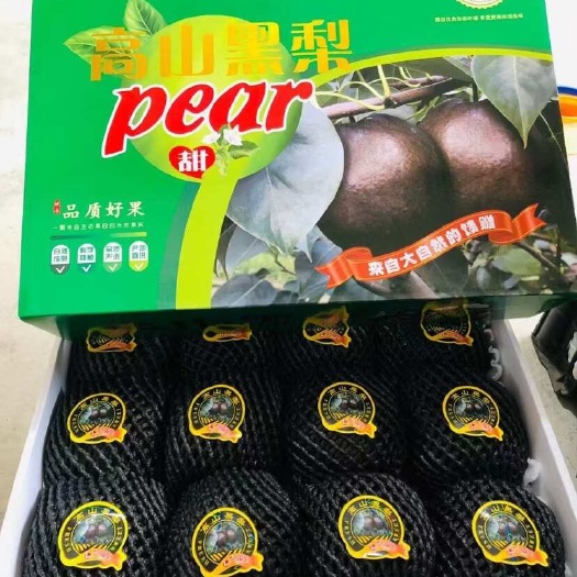 上海西藏黑梨高原藏乌梨