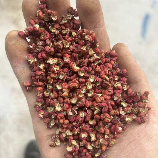 枣庄韩城大红袍花椒，颜色鲜艳，味道十足，