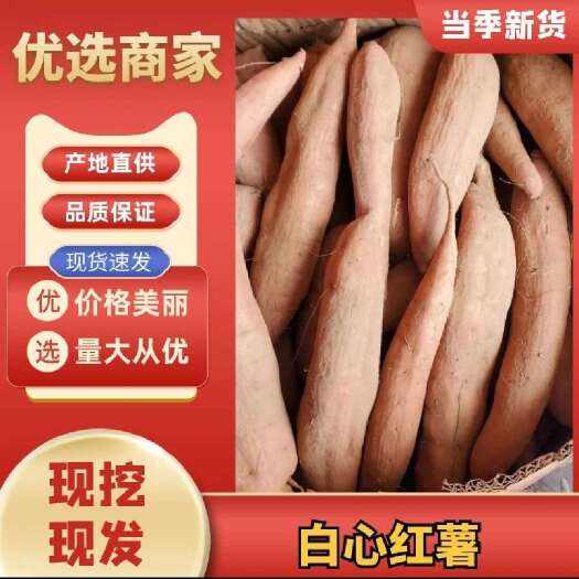 日照【诚信商家】冰糖蜜薯 哈蜜 产地供应 一手货源 欢迎来电咨询