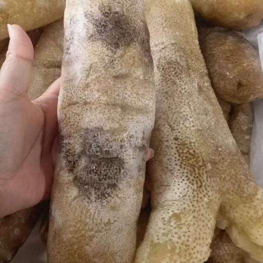 品质款金沙参