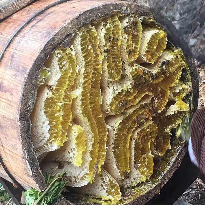 百花蜂蜜农户自产土蜂蜜