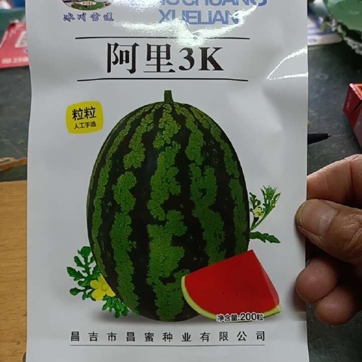 商丘一力一号，一力9号经典黄肉小果西瓜200粒/袋，阿里3K